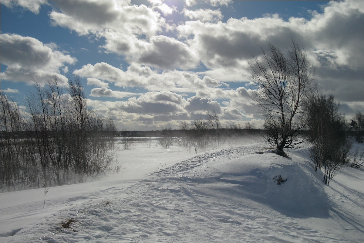 Низино, image of landscape/habitat.