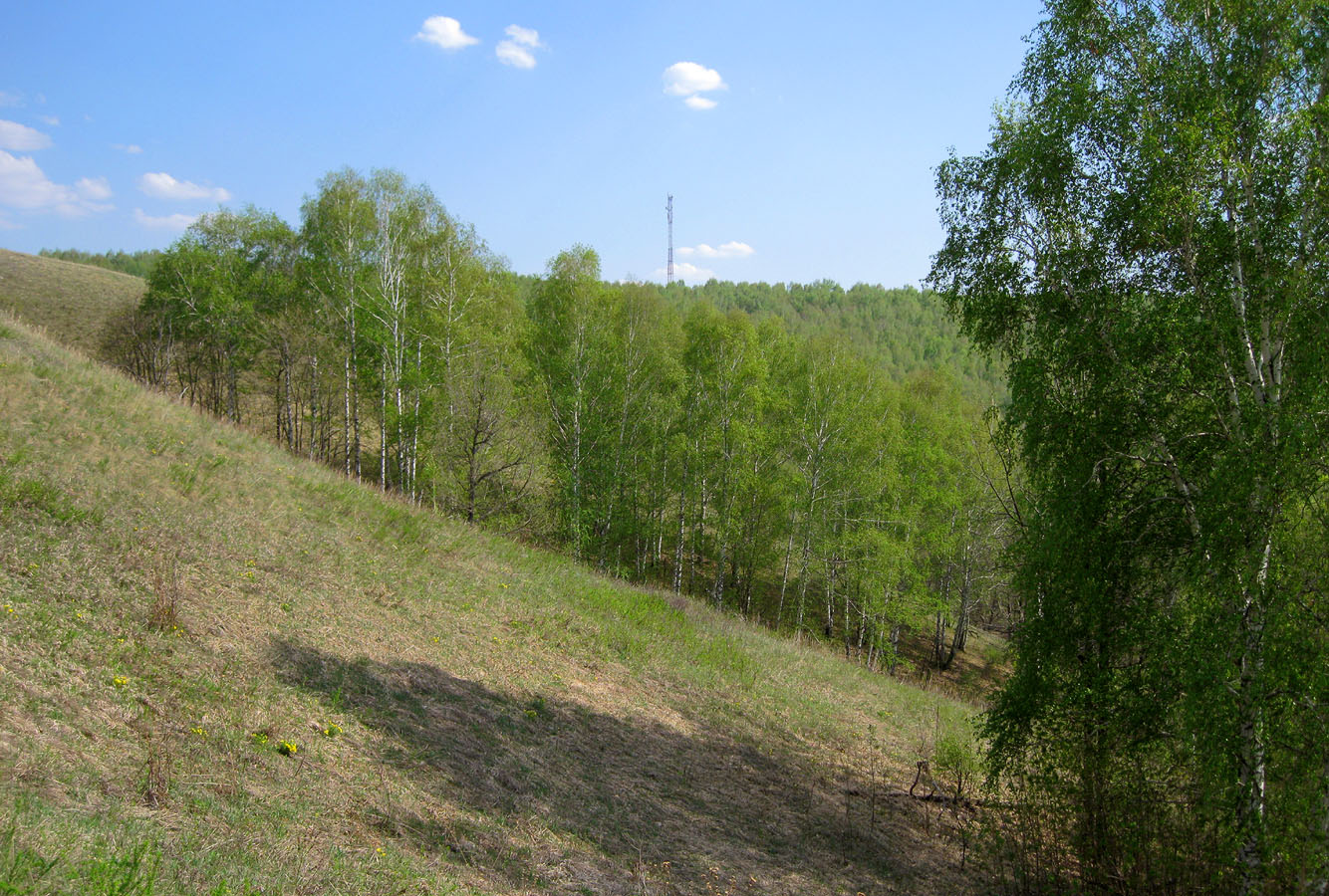 Бавлы, image of landscape/habitat.