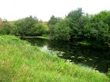 Image of landscape