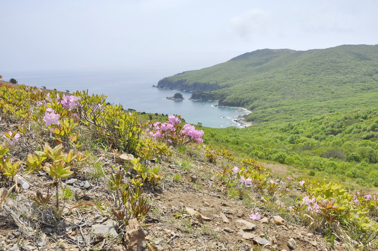 Полуостров Гамова, image of landscape/habitat.