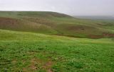 Image of landscape