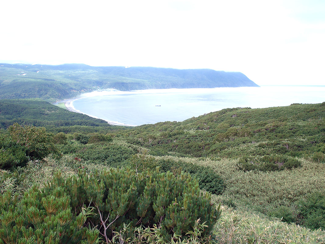 Вулкан Медвежий, image of landscape/habitat.