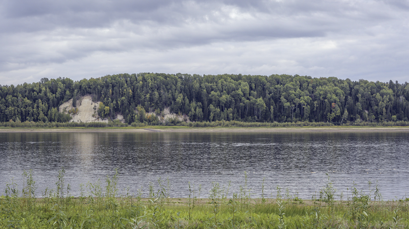 Окрестности Горнореченска, image of landscape/habitat.