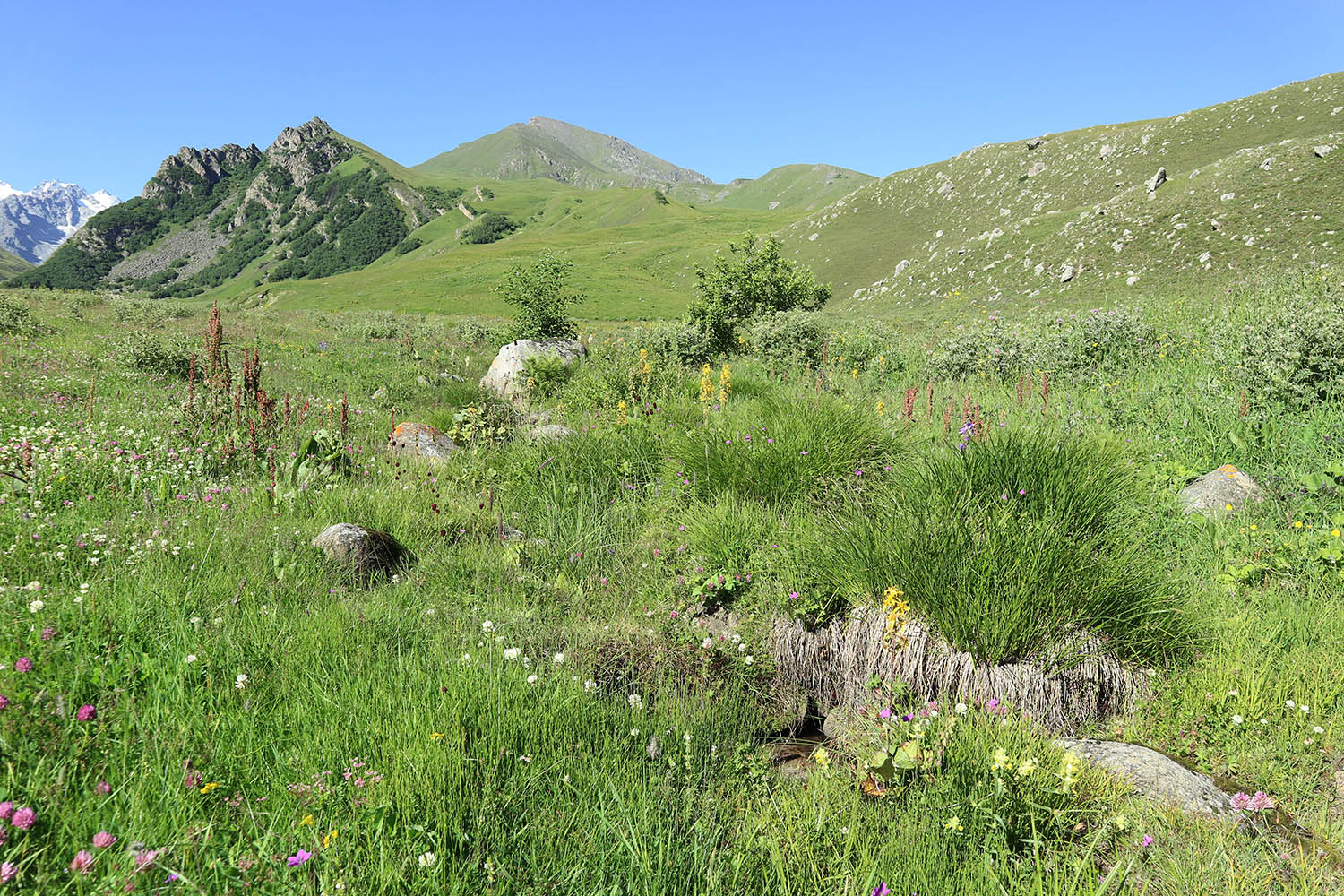 Фытын, image of landscape/habitat.