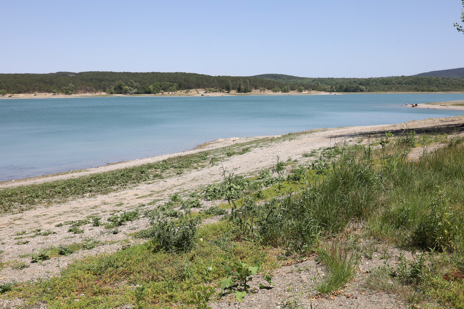 Симферопольское водохранилище, image of landscape/habitat.