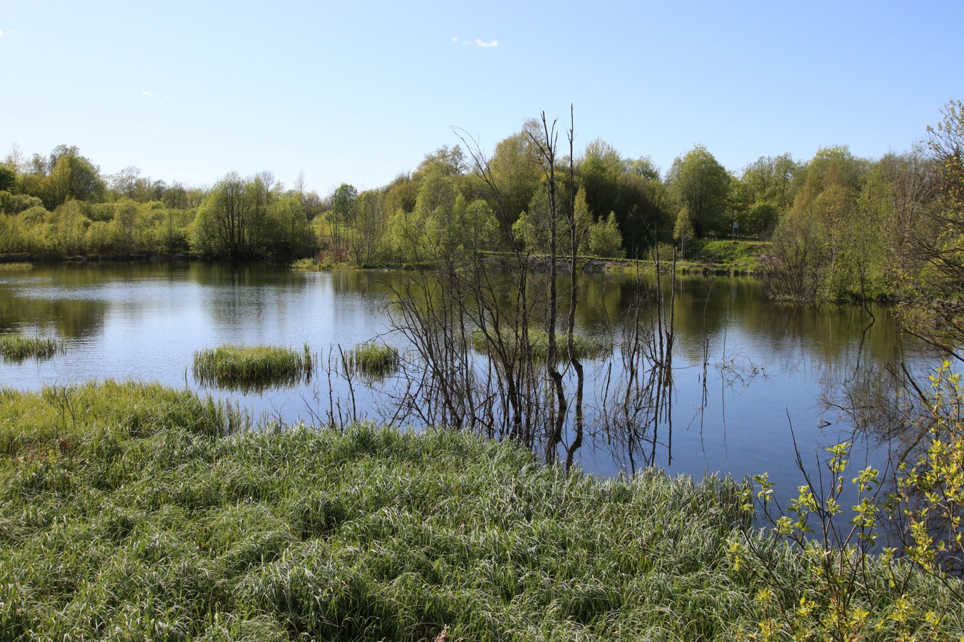 Истоки Шингарки, image of landscape/habitat.