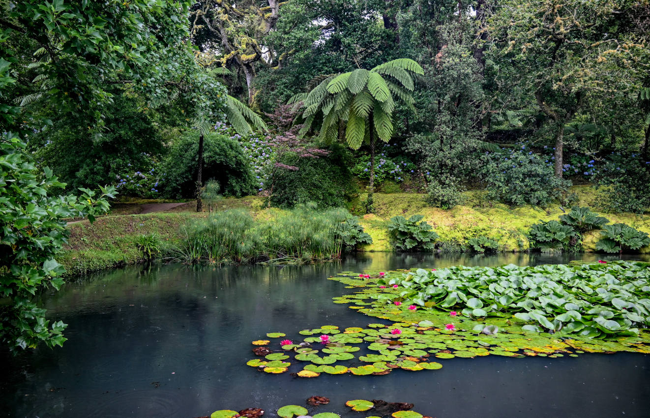 Фурнаш, image of landscape/habitat.