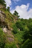 Image of landscape