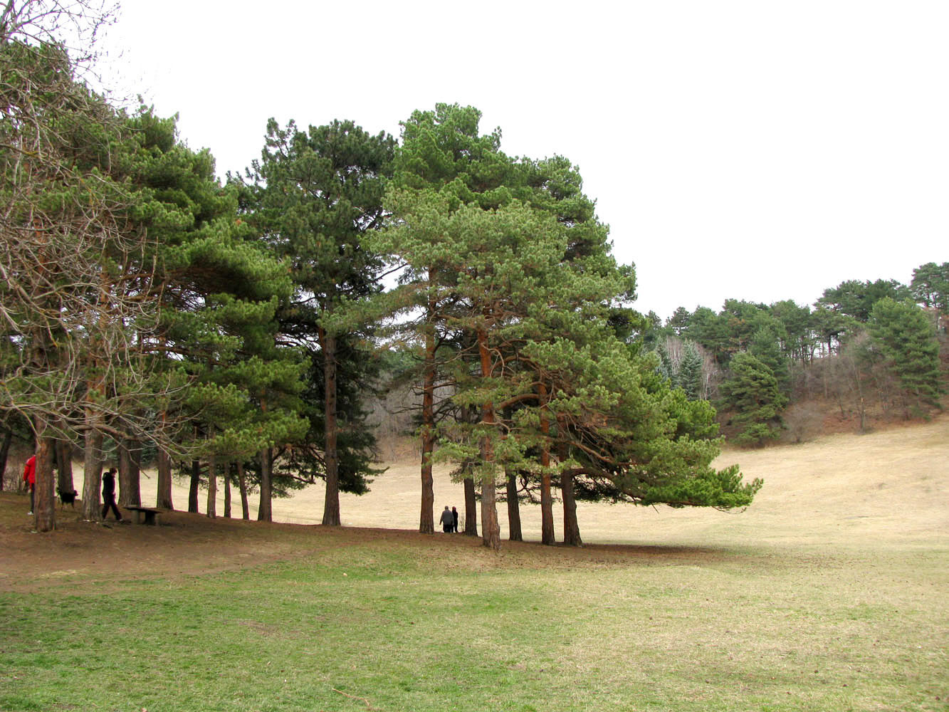 Курортный парк, image of landscape/habitat.