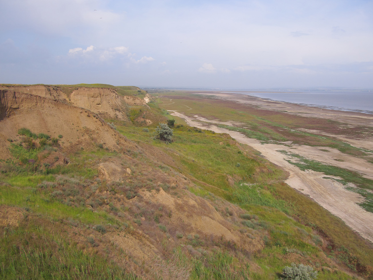 Витязевский лиман, image of landscape/habitat.