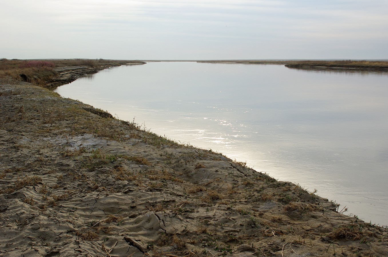 Сырдарья, image of landscape/habitat.