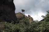 Image of landscape