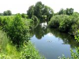 Image of landscape
