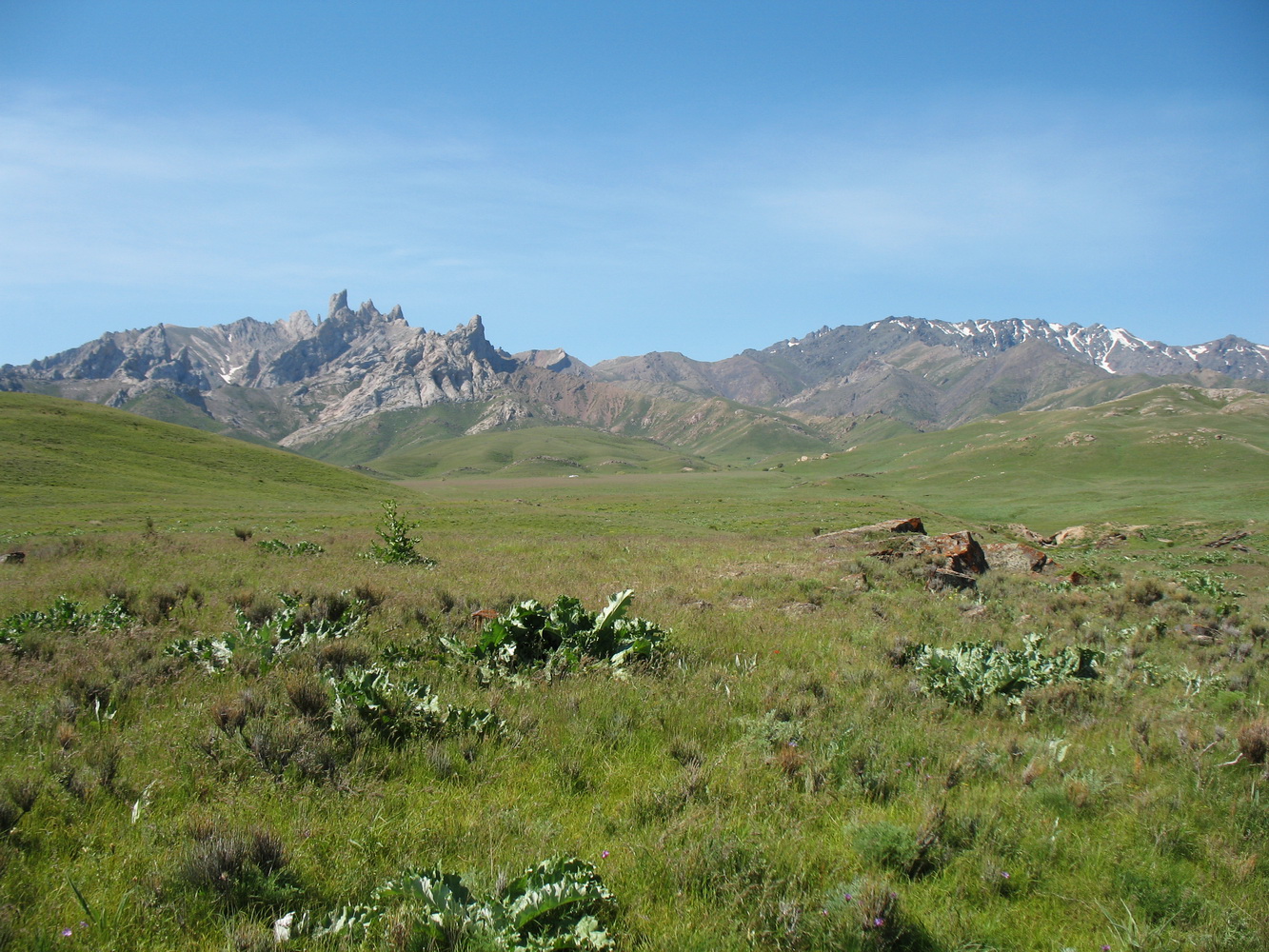 Арпа-Озен, image of landscape/habitat.