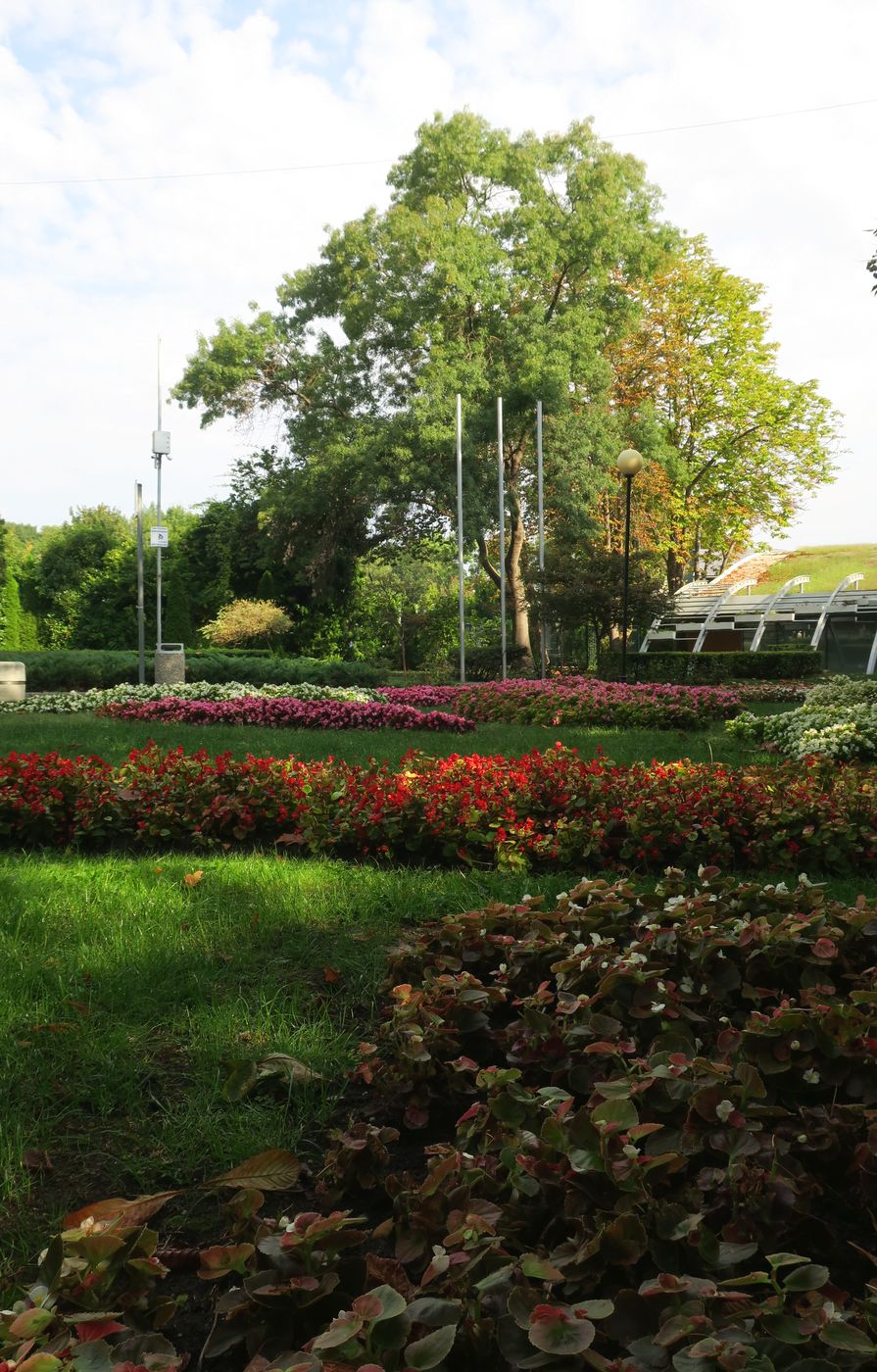 Бургас, image of landscape/habitat.