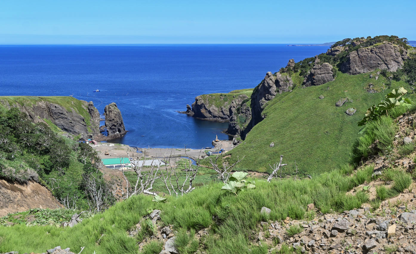 Долина реки Сторожевая, image of landscape/habitat.