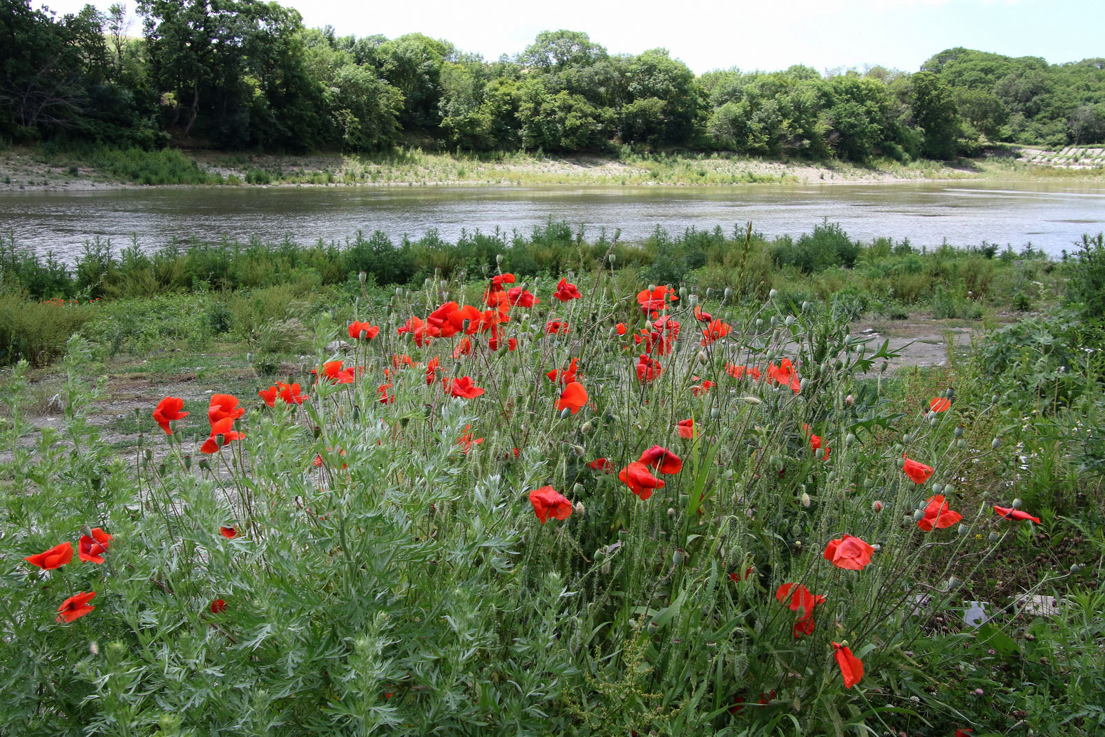 Куматырь, image of landscape/habitat.