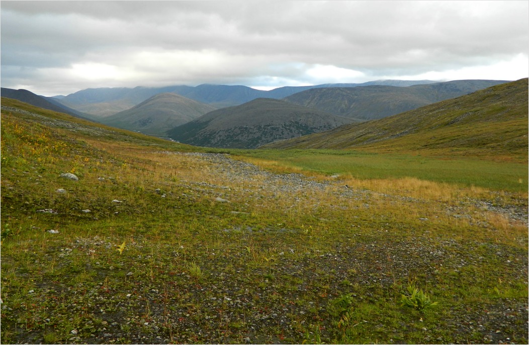Большой Ханмей, image of landscape/habitat.