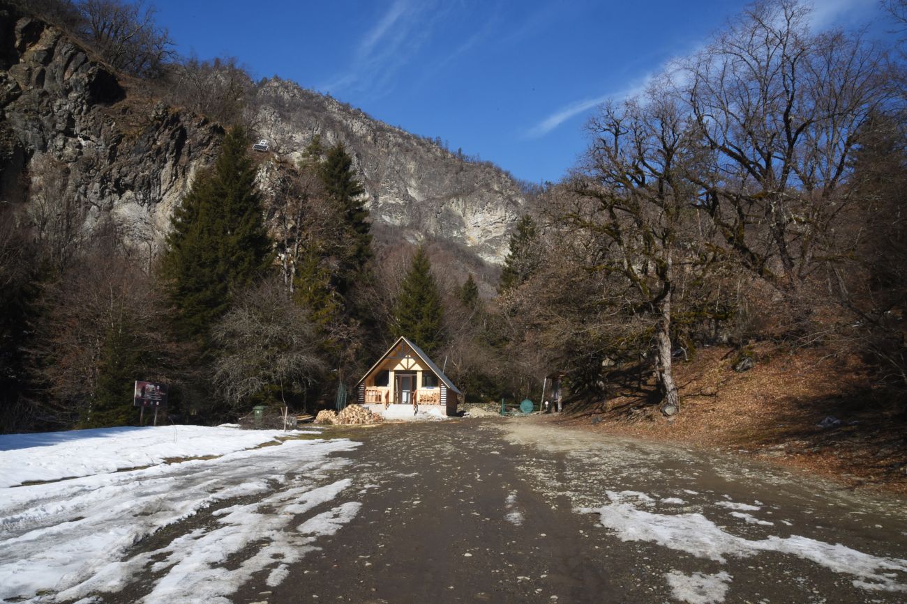 Нац. парк "Боржоми-Харагаули", image of landscape/habitat.