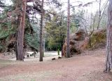 Image of landscape
