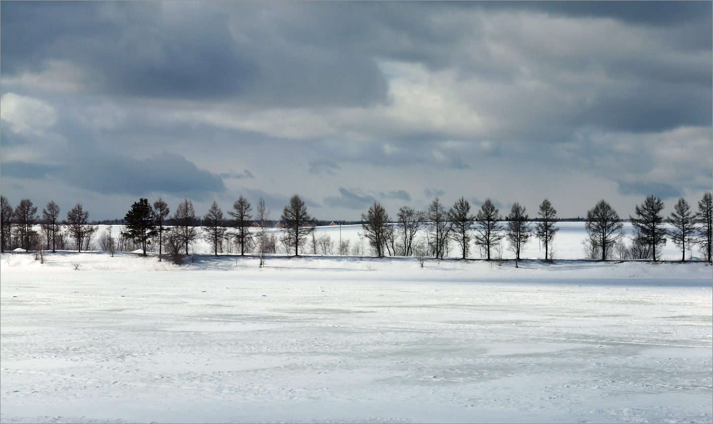 Низино, image of landscape/habitat.