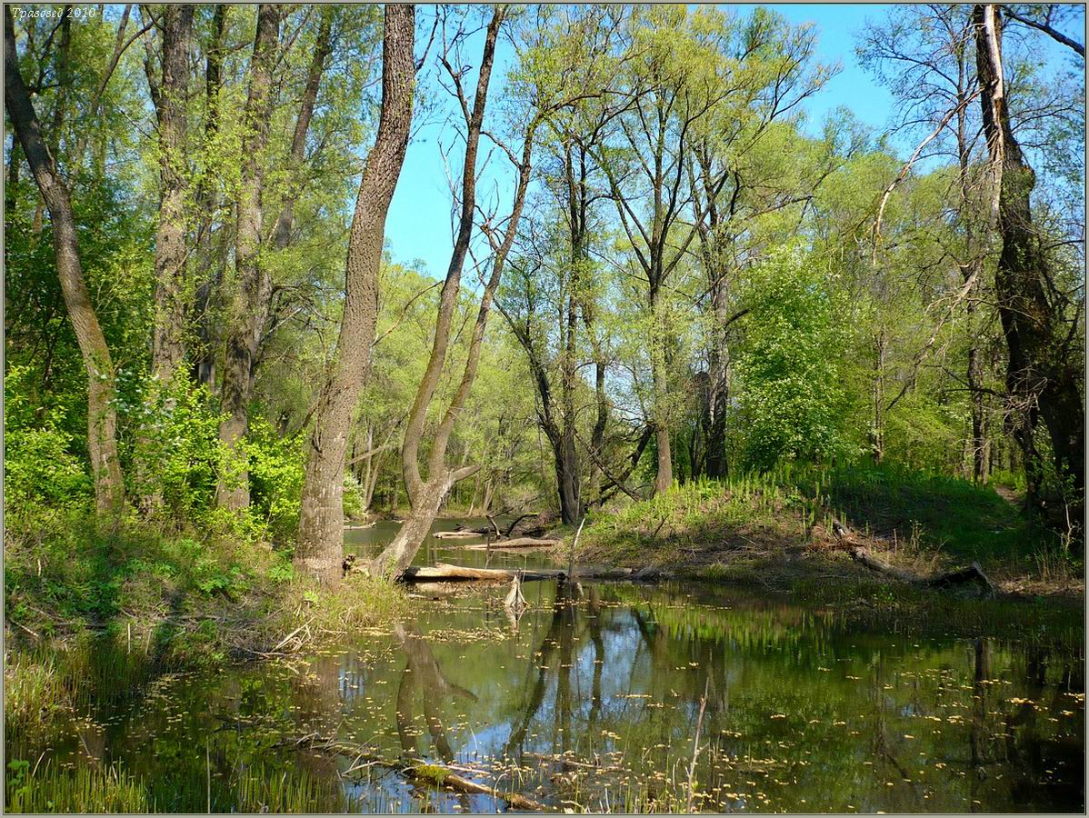 Триозёрье, image of landscape/habitat.