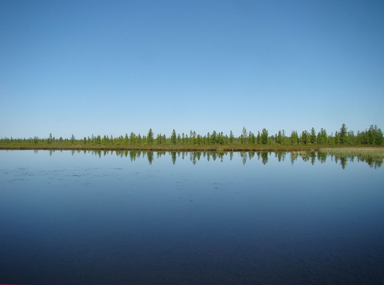 Надым, image of landscape/habitat.