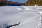 Окрестности поселка Велс, image of landscape/habitat.