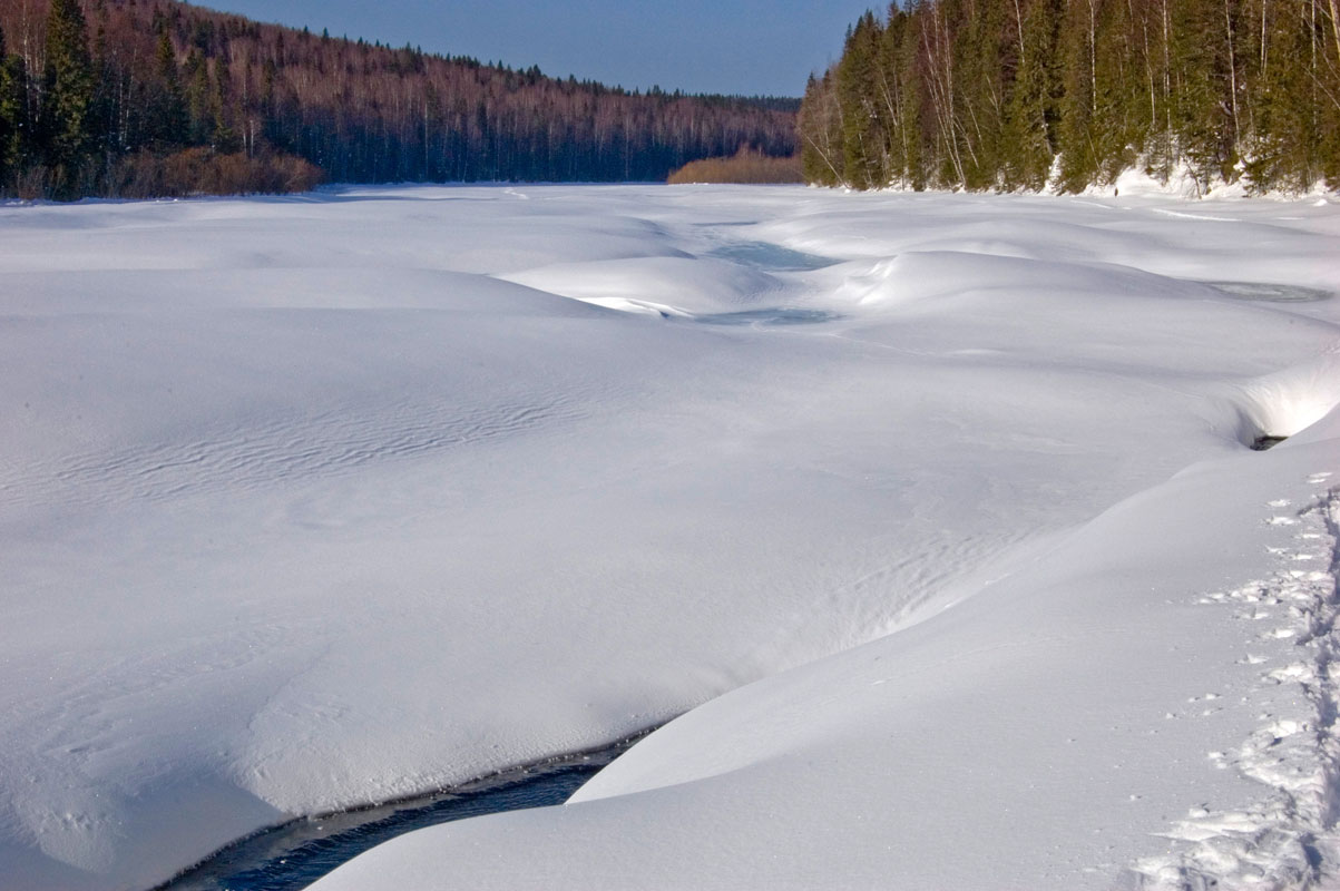 Окрестности поселка Велс, image of landscape/habitat.