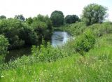 Image of landscape