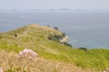 Image of landscape