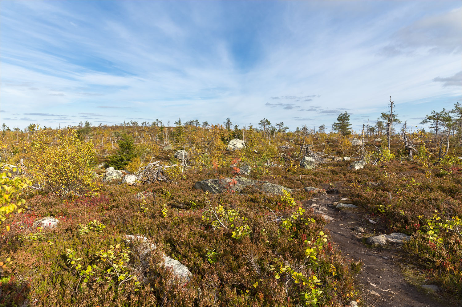 Воттоваара, image of landscape/habitat.