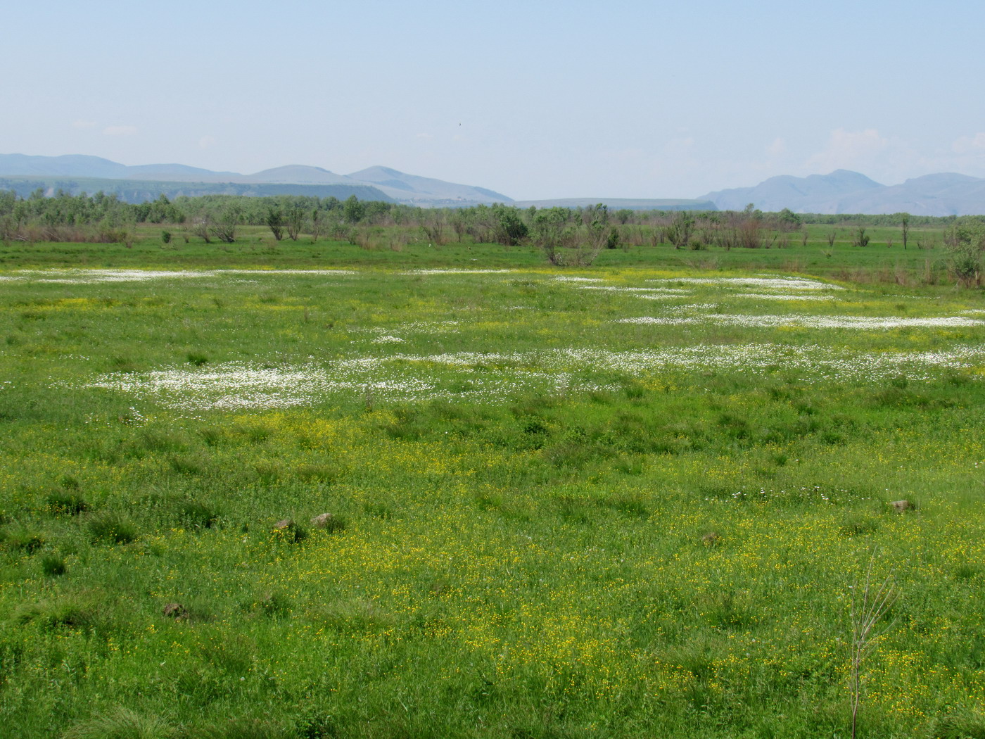 Кавказский Бор, image of landscape/habitat.