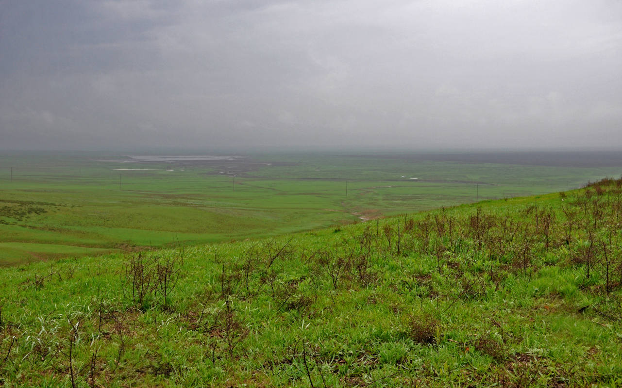 Одинокий тополь, image of landscape/habitat.