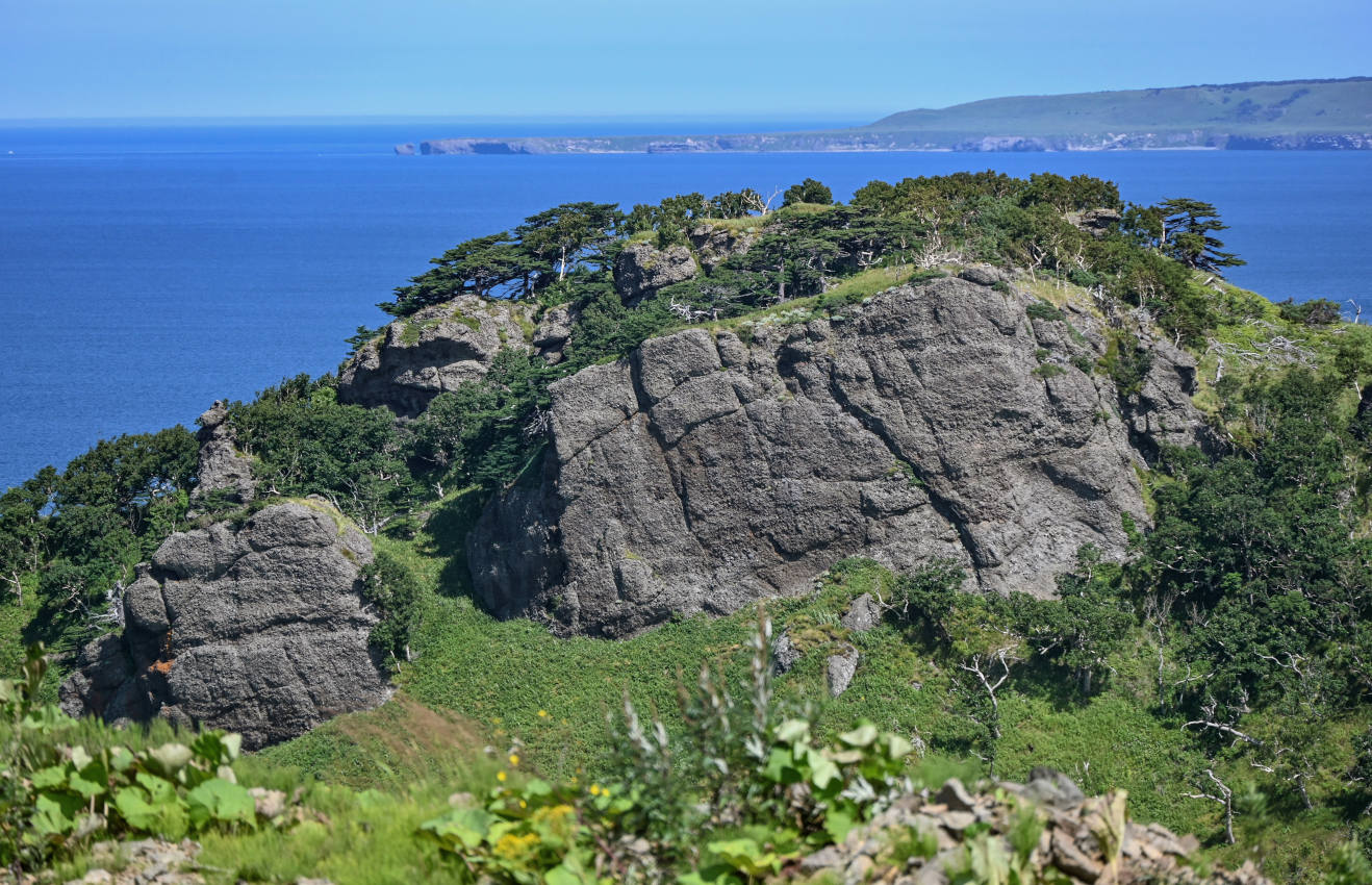 Долина реки Сторожевая, image of landscape/habitat.