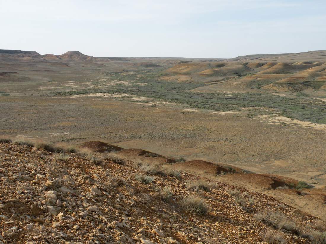 Чинк Донызтау, image of landscape/habitat.