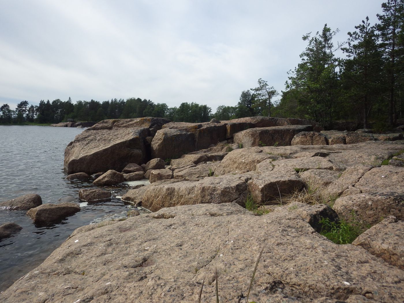 Киви-парк, image of landscape/habitat.