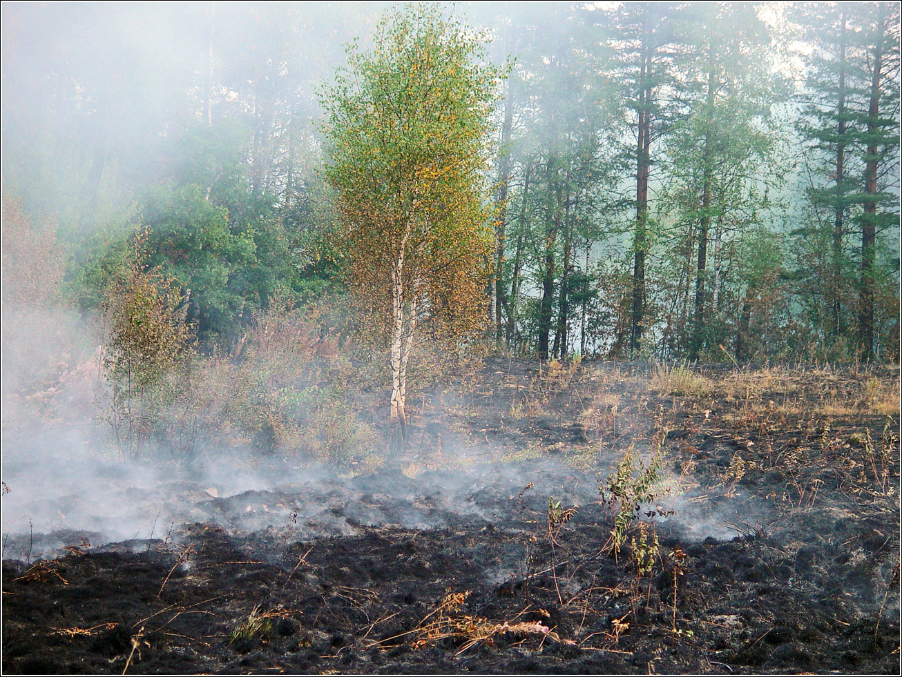 Окрестности Хрипани, image of landscape/habitat.