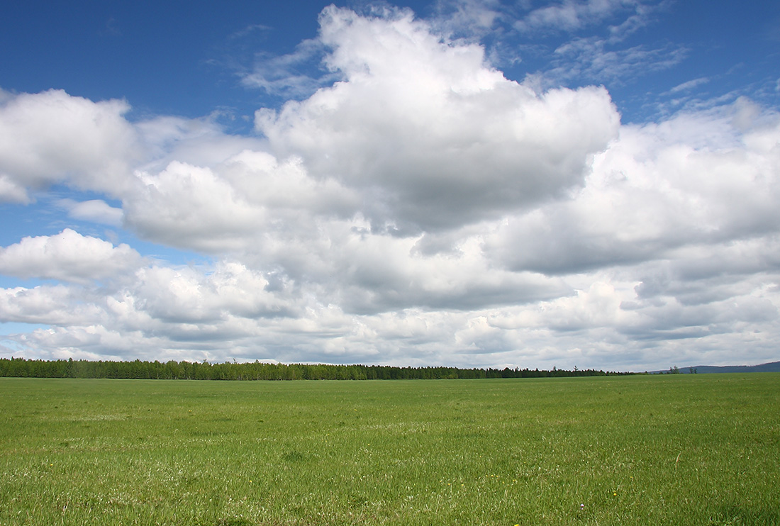 Окрестности Баяндая, image of landscape/habitat.