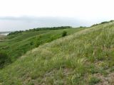 Image of landscape