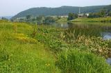 Image of landscape