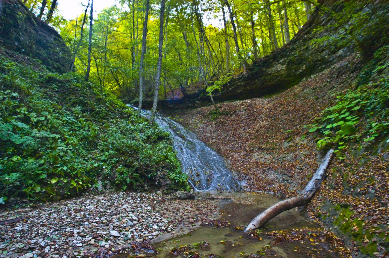 Долина реки Аминовка, image of landscape/habitat.