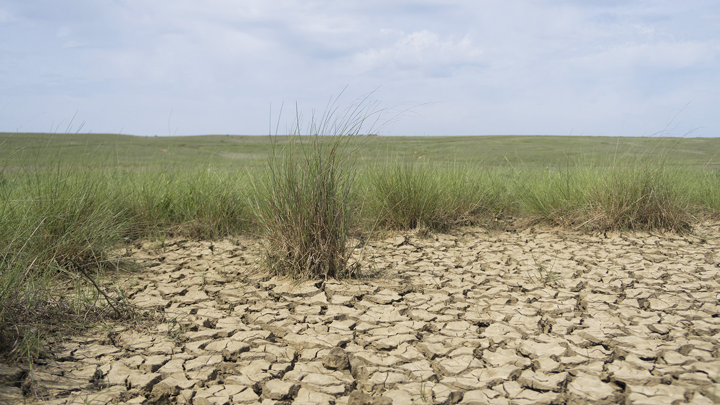 Булганакское сопочное поле, image of landscape/habitat.