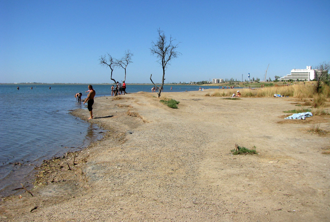 Крым, Саки, image of landscape/habitat.