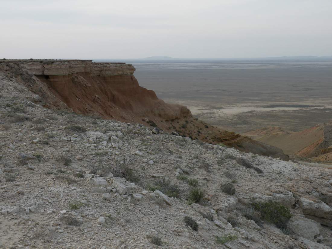 Чинк Донызтау, image of landscape/habitat.