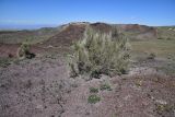 Image of landscape
