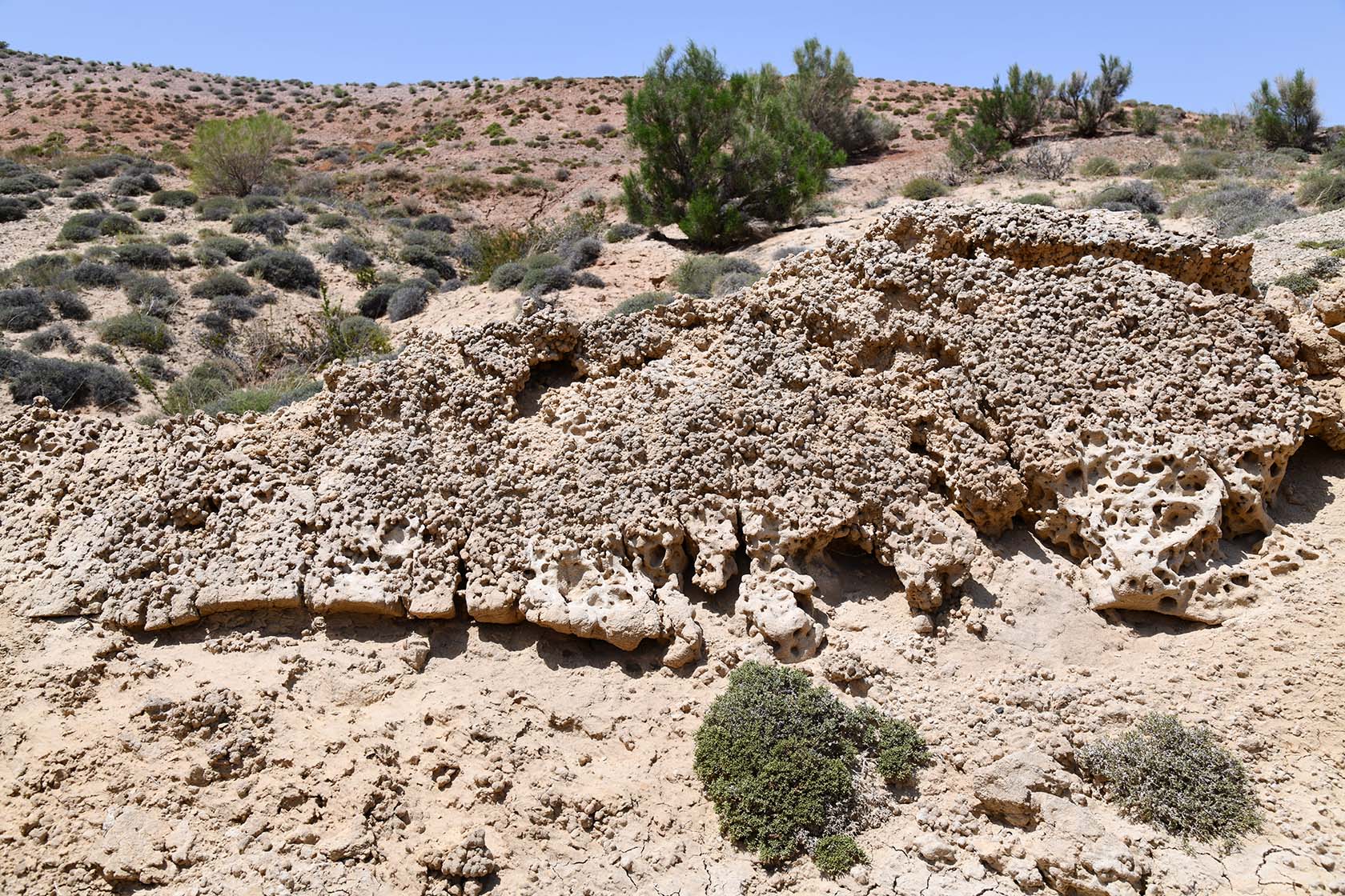 Бала-Богуты, image of landscape/habitat.