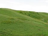 Image of landscape