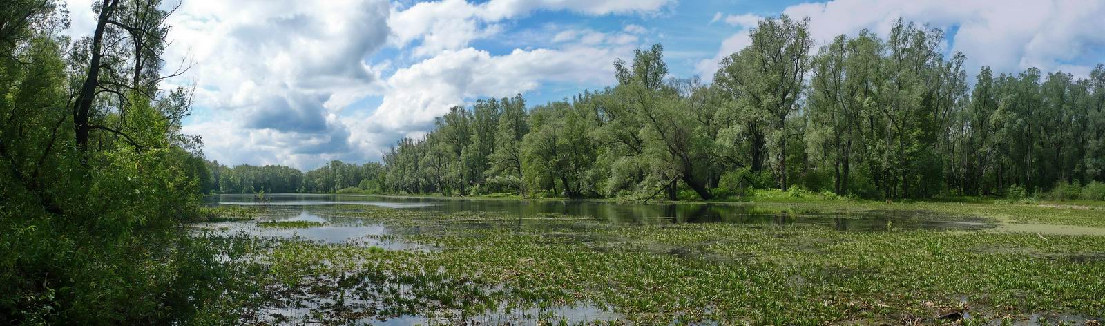 Триозёрье, image of landscape/habitat.