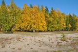 Лено-Вилюйская равнина, image of landscape/habitat.